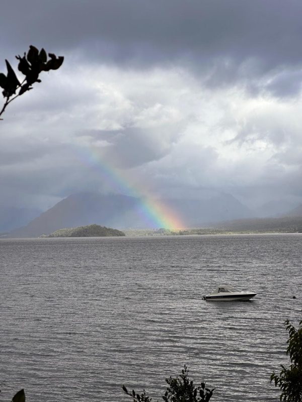 Parcelas en Lago Rupanco - Imagen 6