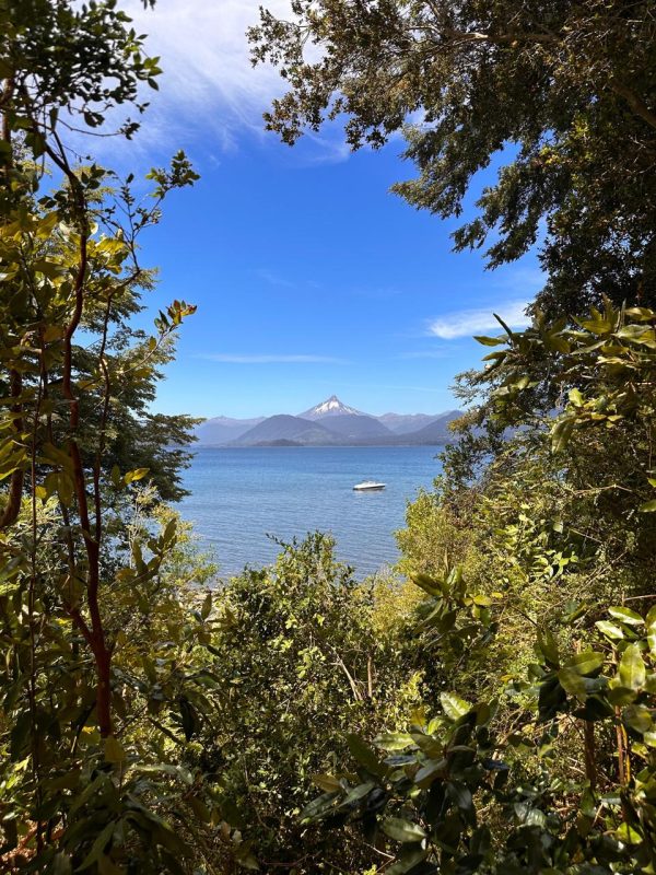 Parcelas en Lago Rupanco - Imagen 7